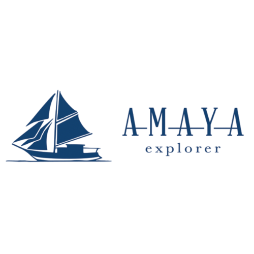 Logo Amaya Explorer